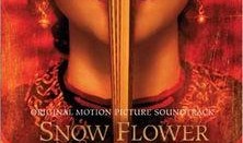 雪花电影在线观看,一场视觉与情感的盛宴