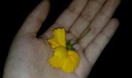 农民免费吃瓜视频大全,农民共享丰收喜悦视频大盘点